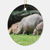 Capybaras-Weide Keramikornament (Links)