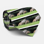 Capybaras-Weide Krawatte (Gerollt)
