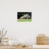 Capybaras-Weide Poster (Küche)