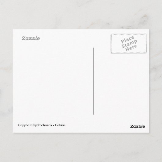 Capybaras-Weide Postkarte (Rückseite)