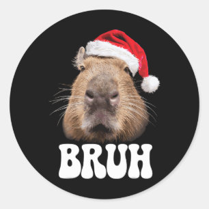 Capyra Bruh Lustige Weihnachtsmannmütze Weihnachts Runder Aufkleber