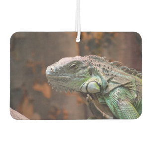 Car Air Fresheners mit phantastischer Iguana-Eidec Autolufterfrischer