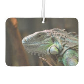 Car Air Fresheners mit schöner Iguana-Eidechse Autolufterfrischer (Rückseite)