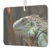 Car Air Fresheners mit schöner Iguana-Eidechse Autolufterfrischer (Links)