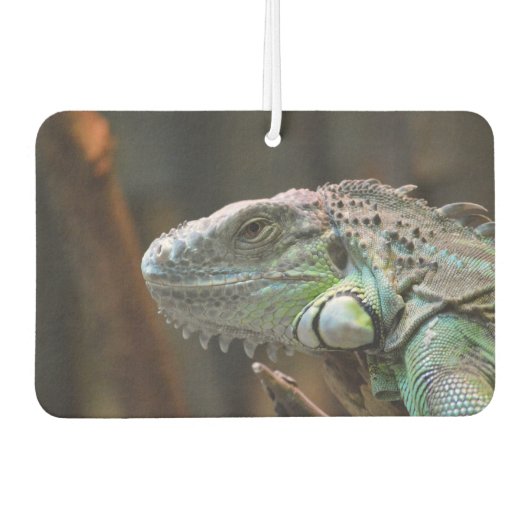 Car Air Fresheners mit schöner Iguana-Eidechse Autolufterfrischer (Vorderseite)