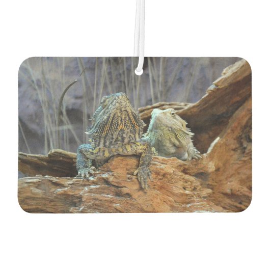 Car Air Fresheners mit zwei seltsamen Eidechsen Autolufterfrischer (Rückseite)