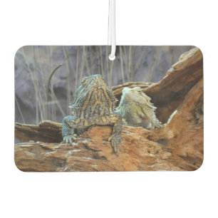 Car Air Fresheners mit zwei seltsamen Eidechsen Autolufterfrischer