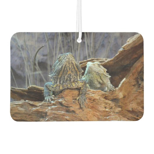 Car Air Fresheners mit zwei seltsamen Eidechsen Autolufterfrischer (Vorderseite)