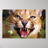 Caracal Hissing Poster (Vorne)