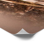 Caracal Kitten Poster (Ecke)