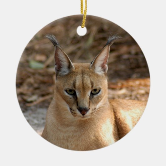 Caracal Luchs-Weihnachtsverzierung Keramikornament (Vorne)
