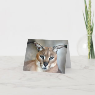 Caracal wilde Katzen-Anmerkungskarte Karte