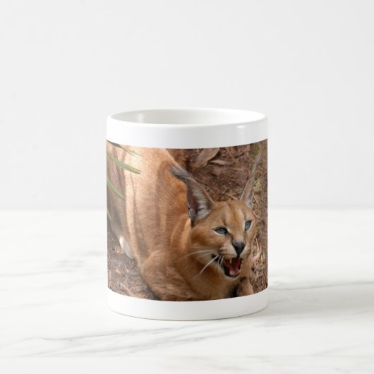 CaracalBCR004 Kaffeetasse (Mittel)
