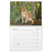 CaracalBCR058, Caracal Luchs Kalender (Jan 2027)