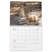 CaracalBCR058, Caracal Luchs Kalender (Mär 2027)