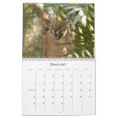 CaracalBCR058, Caracal Luchs Kalender (Mär 2027)