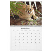 CaracalBCR058, Caracal Luchs Kalender (Feb 2027)