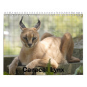 CaracalBCR058, Caracal Luchs Kalender (Titelbild)