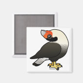 Caracara Display Magnet (Vorderseite/Rückseite)