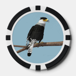Caracara-Lehm-Poker-Chip mit Haube Pokerchips