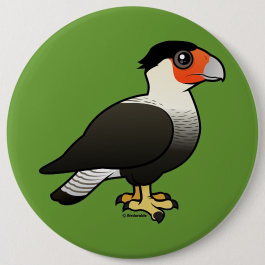 Caracara mit Haube Button (Vorderseite)