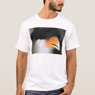 Caracarafalkekopfschuss-Bild-Foto mit Haube T-Shirt