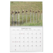 Caracaras von Florida Kalender (Feb 2027)