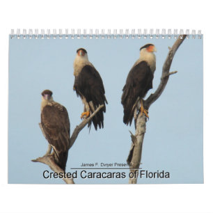 Caracaras von Florida Kalender