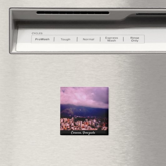 Caracas, Venezuela Magnet (In Situ (Geschirrspüler))