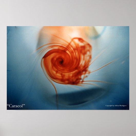 Caracol Poster (Vorne)