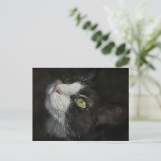 Caramel Postkarte (Stehend Vorderseite)