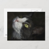 Caramel Postkarte (Vorne/Hinten)