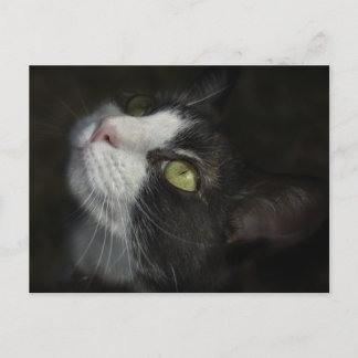 Caramel Postkarte