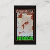 CARAMELLA INDICA VISITENKARTE (Rückseite)