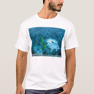 Caranx Lugubris (schwarze Jacke) T-Shirt