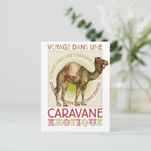 Caravan Camel Postkarte (Stehend Vorderseite)