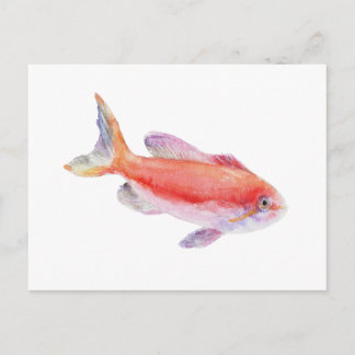 Carberryi Anthias-Fisch-Wasserfarbillustration Postkarte