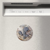 Carbon Balls (Daldinia concentrica) Pilze Magnet (In Situ (Geschirrspüler))