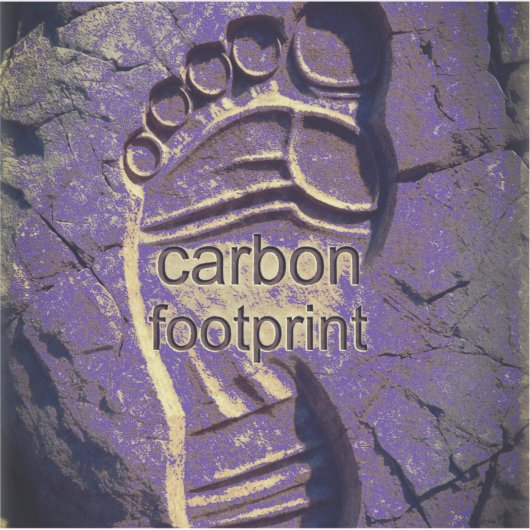 CARBON FOOTPRINT AUFKLEBER (Vorderseite)