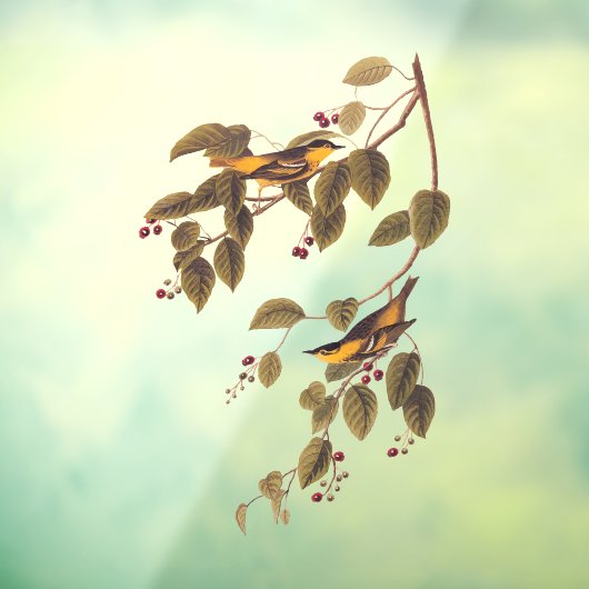 Carbonated Warbler Audubon Bird Fensteraufkleber (Blatt 3)