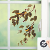 Carbonated Warbler Audubon Bird Fensteraufkleber (Zuhause)