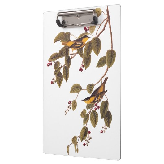 Carbonated Warbler Audubon Bird Klemmbrett (Links)