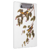 Carbonated Warbler Audubon Bird Klemmbrett (Rechts)