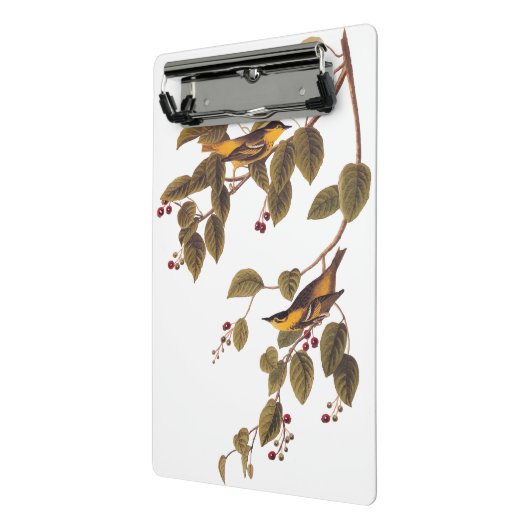 Carbonated Warbler Audubon Bird Mini Klemmbrett (Gewinkelt2)