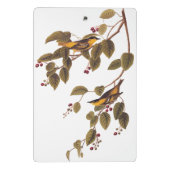 Carbonated Warbler Audubon Bird Mini Klemmbrett (Rückseite)