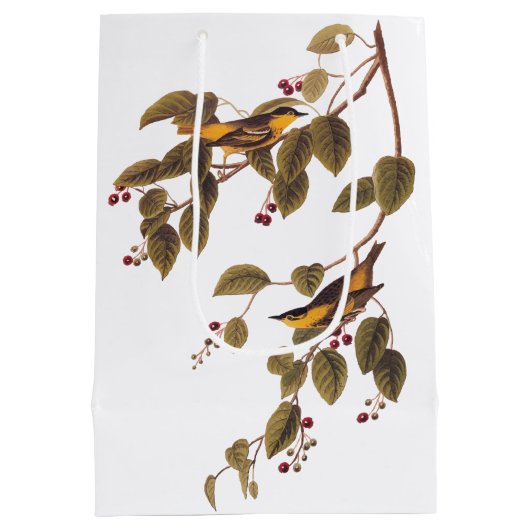 Carbonated Warbler Audubon Bird Mittlere Geschenktüte (Rückseite)