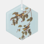 Carbonated Warbler Audubon Bird Ornament Aus Glas (Vorderseite)