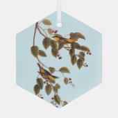 Carbonated Warbler Audubon Bird Ornament Aus Glas (Rückseite)