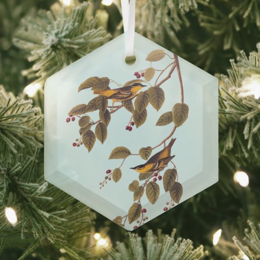 Carbonated Warbler Audubon Bird Ornament Aus Glas (Insitu)