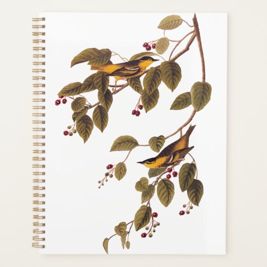 Carbonated Warbler Audubon Bird Planer (Vorderseite)